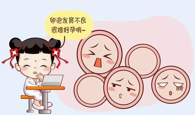 卵泡发育不好应该吃什么？